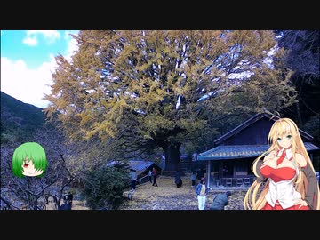 マキさん、イントルーダーで出掛けましょう。第十六回『紅葉と奈良県へ行きましょう。』
