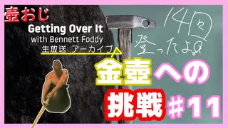 【Getting Over It】金色にしたくて…#11【ゲーム実況】