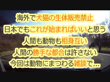 【動物に関する雑談】...海外で犬猫の生体販売禁止に！順次動物ショーも禁止へ...