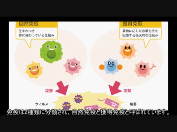 【コロナワクチン】ワクチン接種をした人は冬の間に大量死する　part1