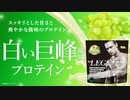 【数量限定】ビーレジェンド 「白い巨峰風味」をレビュー【ビーレジェンド プロテイン】
