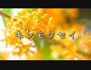 【BGM素材】キンモクセイ【ギターインスト】