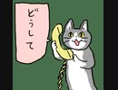 SSSS