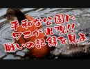 【実況】激闘！ 巨大ワニ VS 美子【サウンドノベル 街 -machi- #126】