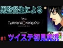 ツイステに興味なかった男が沼にハマっていく様part1