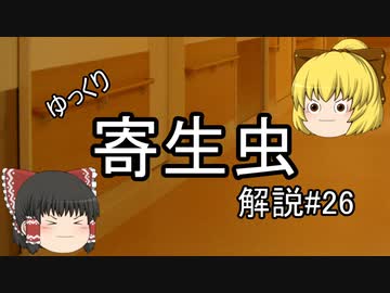 【ゆっくり解説】ゆっくり寄生虫解説#26~自由生活性アメーバ(アカントアメーバ)~