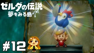 【ゼルダの伝説】ママ！この鶏飼いたいよぉ！【夢をみる島】#12
