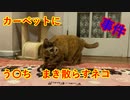 【ねこ缶レビュアーズ】う〇ち撒き散らすネコと、片づけるおじさん。【３話】