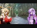 ゆかりさんのゆるポタ１３　ここは水ヶ峠トンネル前の謎道