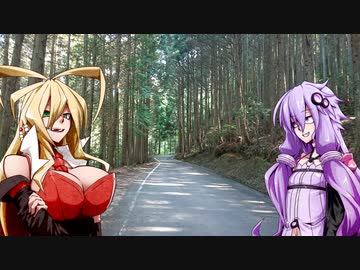 ゆかりさんのゆるポタ１３　ここは水ヶ峠トンネル前の謎道
