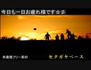 26205880_セタガヤペース(2021年11月29日20時21分48秒)