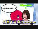 韓国の大物youtuber、反日発言をして大炎上してしまうwwwwwwwww