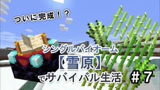 ＃7 遂に完成！？【Minecraft】シングルバイオーム❅雪原❅でサバイバル生活