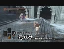 【配信切り抜き】VSバグてんこ盛りホスト