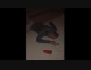 Funny Videos From the Web#10