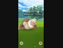 【ポケモンGO】野生のケッキングが現れた。［CP4020］