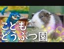 【こどもの国のどうぶつ園】かわいいキレイおもしろ動物達。リス、モルモット、鳥、ヤギ、ウサギなど。