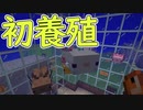 【実況】俺のマインクラフト　その53(海と魚編#2)【Minecraft】