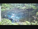 【北方氷雪華】　ローズオブシャロン　～ 槿花一日の栄　【アレンジ】