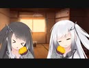アリミリ日記３