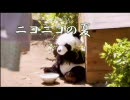 「ニコニコの夏」団らん篇（パンダ） 15秒
