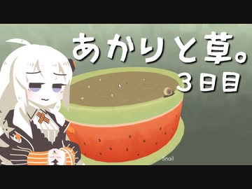 【VIRIDI】あかりと草。3日目【VOICEROID実況】