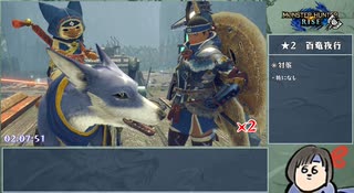 【MHRise】ナルハタタヒメ撃退RTA チャージアックスチャート　09:28:28_Part4