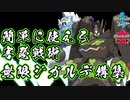 【ポケモン剣盾】基本型害悪ジガルデ構築【初心者向け】
