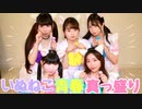 【いぬねこ隊】いぬねこ。青春真っ盛り／わーすた【踊ってみた】