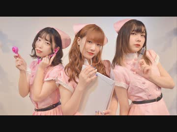 〘茶小狸*〙ジャンキーナイトタウンオーケストラ　踊ってみた。