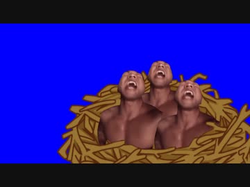 親鳥にエサを乞うひな鳥BB