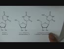 ［再］mRNAワクチン：新型コロナウイルス感染を抑える切り札となるか？
