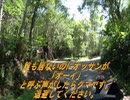【伊織弓鶴車載】【桜乃そら車載】北海道に住んでいるなら　バイクに乗るしか無いじゃない！2021シーズンおわり