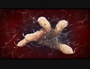 【オリジナルPV】フィクサー / メローナムβ【歌ってみた】