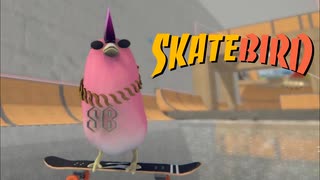 トリもスケボーをする時代【SkateBIRD】