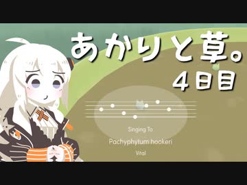 【VIRIDI】あかりと草。4日目【VOICEROID実況】