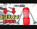 テッカグヤならぬ「TENGAグヤ」で気持ちよくなってね～【ポケモン剣盾】