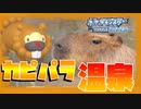 【ポケモンBDSP】リアルで撮ったポケモンしか使えない縛り実況part2カピバラ編