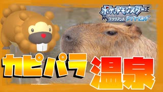 【ポケモンBDSP】リアルで撮ったポケモンしか使えない縛り実況part2カピバラ編