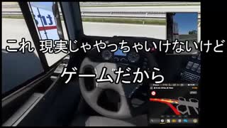 【切り抜き】高速道路で逆走する大バカ者