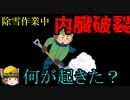除雪作業に潜む『意外な危険』【労災事例ゆっくり解説・死亡事故】