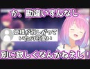 【2021/12/4】ルーナイトにツンツンするルーナ姫が可愛い！【#ホロライブ切り抜き/姫森ルーナ/ポケモン】