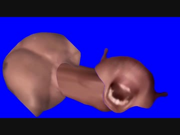 タクヤのマイマイ6000円BB