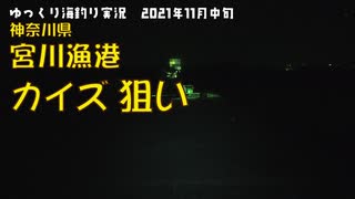 三浦半島　カイズ狙い【2021年11月中旬】