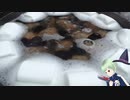 今からアサリを〇します