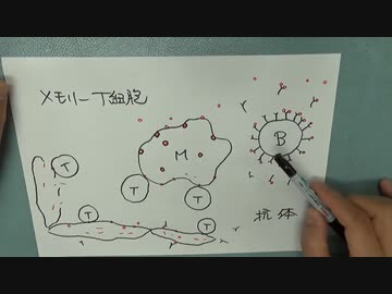 ［再］BCGマクロファージ説　その2