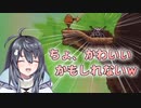 【玖熊詩乃】くもげーで遊ぶくぐま【切り抜き】