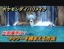 ポケモンダイパリメイク　タッツーを捕まえる方法！出現場所は？【ブリリアントダイヤモンド・シャイニングパール】