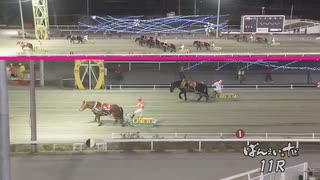 第46回ばんえいオークス サクラヒメ