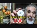 【貝貨】古銭の元祖！？その歴史に迫ってみろ！！